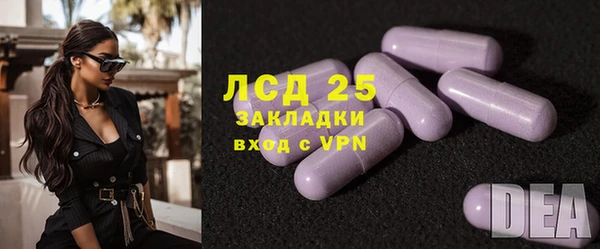 PSILOCYBIN Пересвет