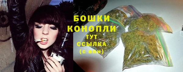 PSILOCYBIN Пересвет