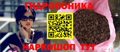 прущие крисы Гагарин