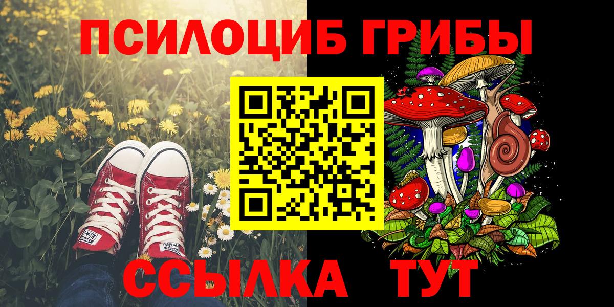 Псилоцибиновые грибы прущие грибы Тосно