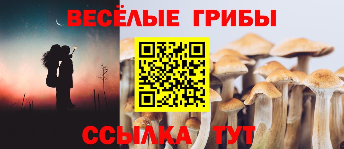 Псилоцибиновые грибы GOLDEN TEACHER  Галлюциногенные грибы Magic Shrooms  Тосно 