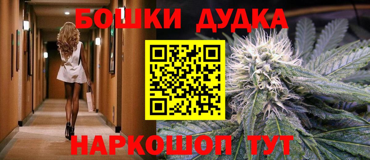 Конопля сатива Тосно